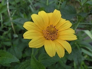 e0234924_09241119.jpg