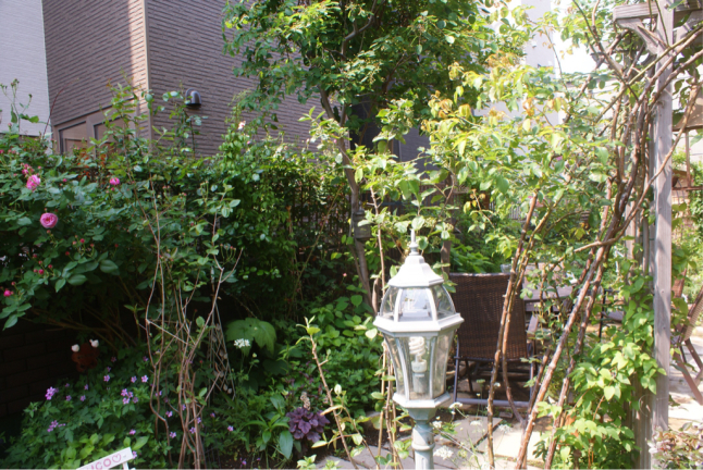 f0170524_08042111.jpg