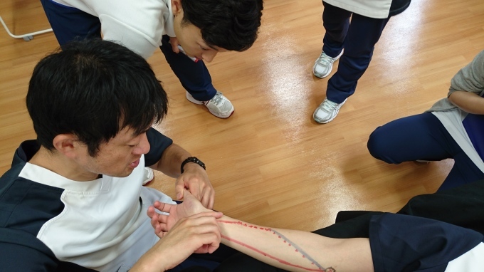 第70回TOC体表解剖勉強会【浅指屈筋】_b0329026_12352873.jpg