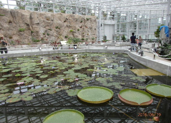 a0108328_2047146.jpg