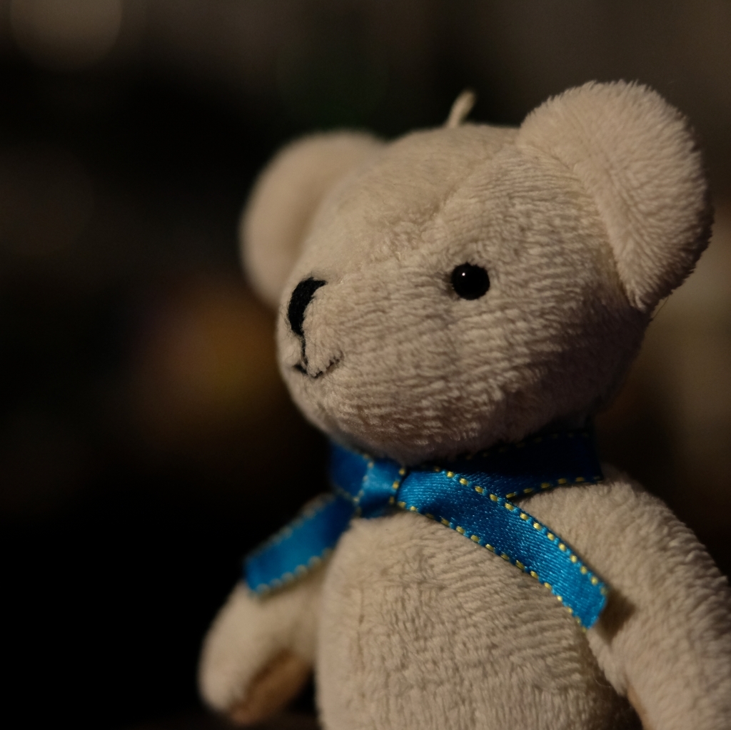 誕生日はクマノスケ　_f0050534_12414575.jpg