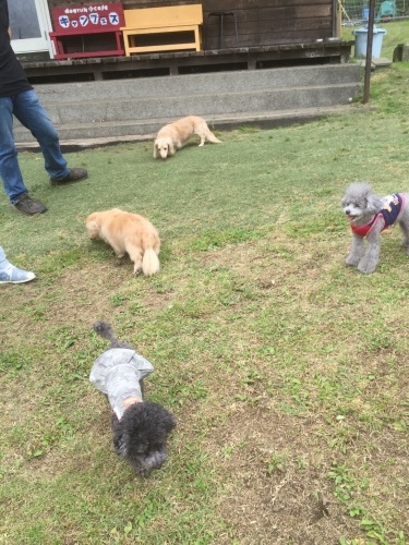 b0369239_11035063.jpeg