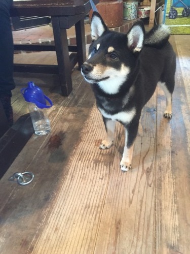 b0369239_11085665.jpeg