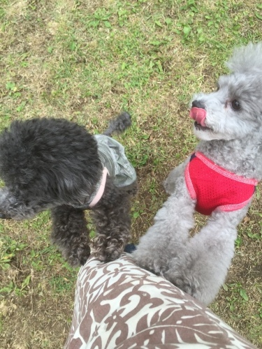 b0369239_11091742.jpeg
