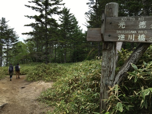 湯元光徳線歩道(2) 涸沼から光徳沼まで_b0330040_06184187.jpeg