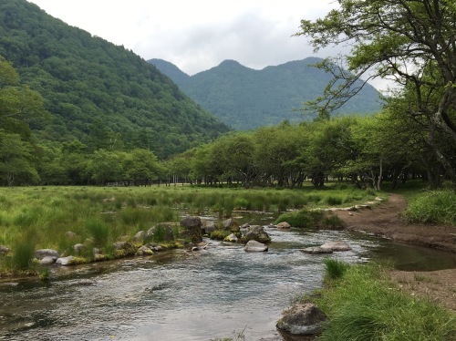 湯元光徳線歩道(2) 涸沼から光徳沼まで_b0330040_09025565.jpeg