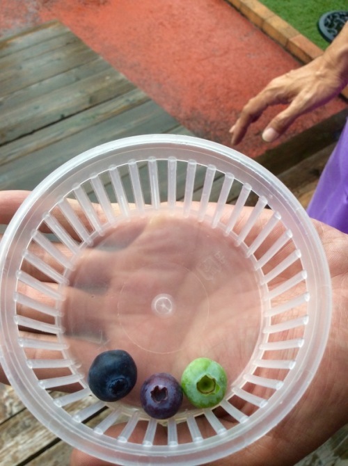 f0191444_16260292.jpeg