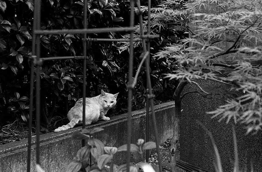 【21st Century Snapshot Man】2016 5/25 大井町ー大崎ー恵比寿 _c0035245_01563363.jpg