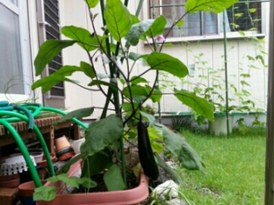 c0330749_17175362.jpg