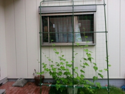 c0330749_17175624.jpg