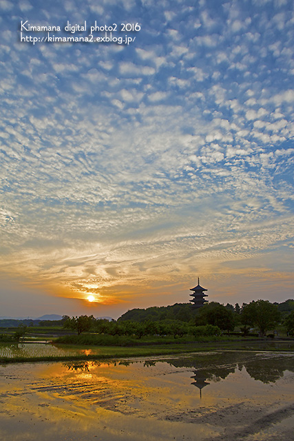 備中国分寺の夕景　6/18_f0324756_2314324.jpg