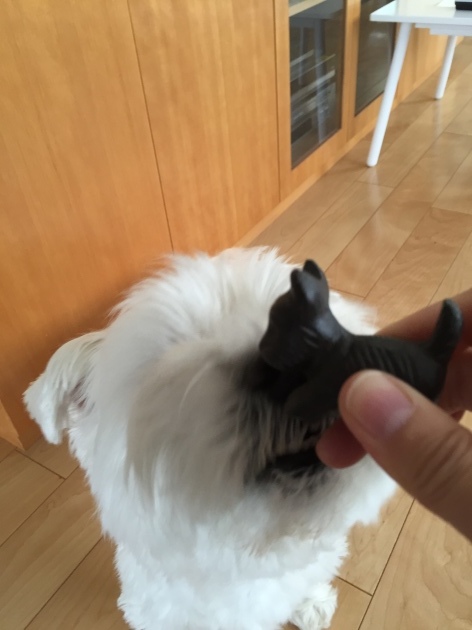 a0337860_23594829.jpeg