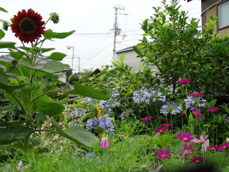 c0108460_21365691.jpg