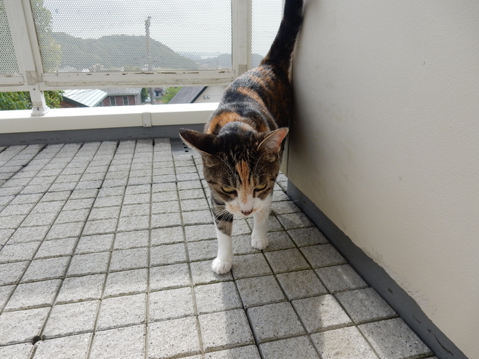 ’16,6,20(月)もったいない!という気持ち!_f0060461_8261776.jpg