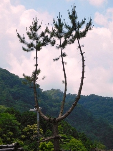 c0219162_16412355.jpg