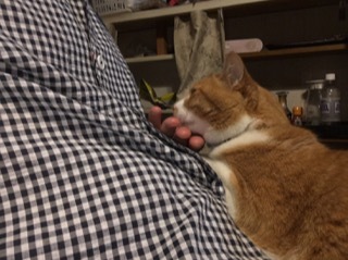 f0363168_19105200.jpeg