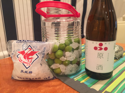 梅仕事2016_e0326573_10031506.jpg