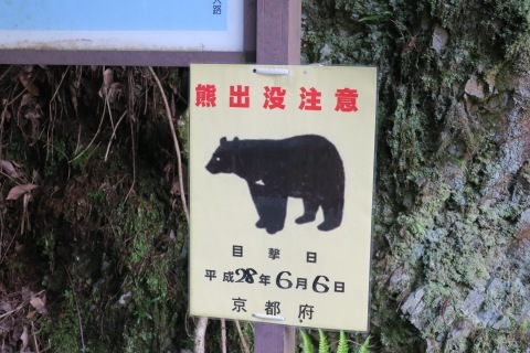 クマップ。_e0149587_04323464.jpg