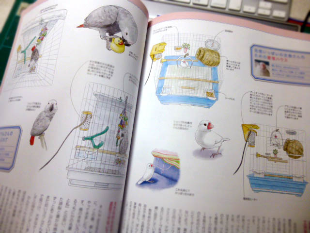 a0086994_1145346.jpg