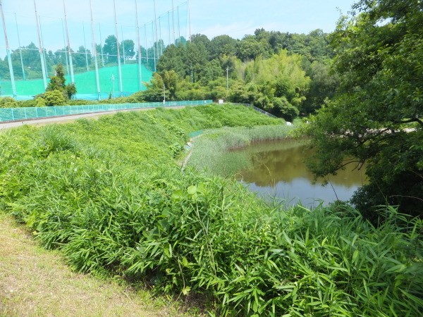 歩こう　池を見に行こう（31）室谷池　下池　お地蔵尊151　　下里_b0212898_10552462.jpg