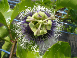 f0055803_14351773.png