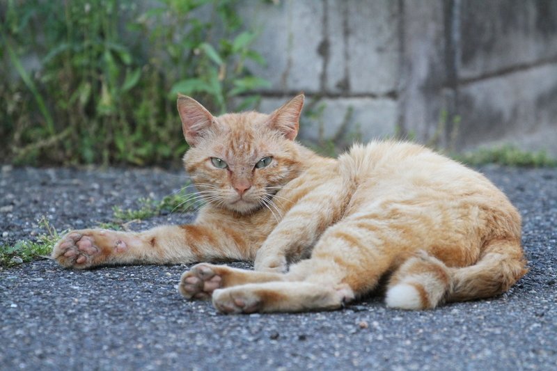 やたら余裕かますシンちゃん_a0190211_1114474.jpg