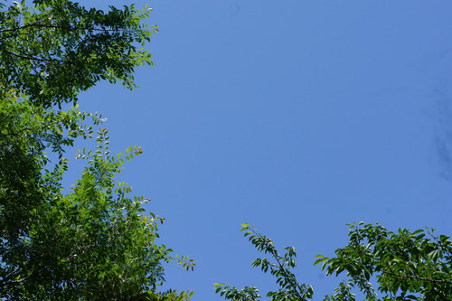 f0215714_16455287.jpg