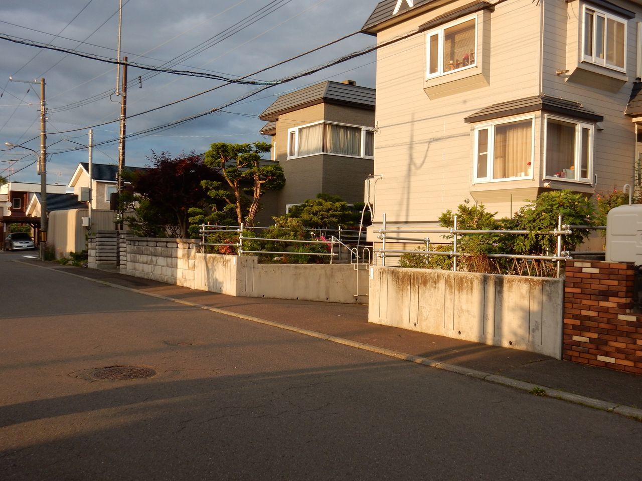 夏至 晴れ 2週間ぶりの25℃ 1日遅れのストロベリームーン_c0025115_22075138.jpg
