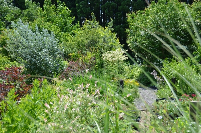 d0272423_20310207.jpg