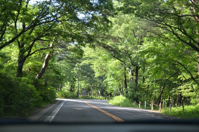 d0272423_20323368.jpg