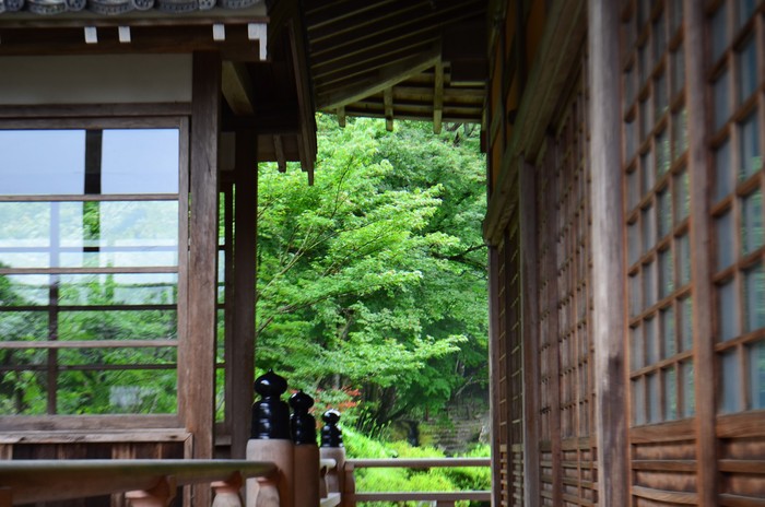 ”雨の雪舟庭～常栄寺”_d0153941_192181.jpg