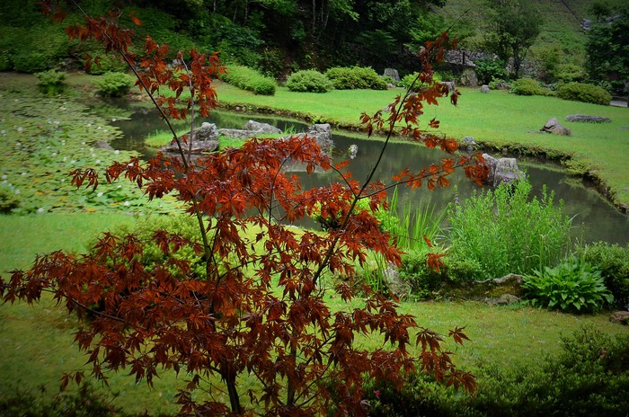 ”雨の雪舟庭～常栄寺”_d0153941_1923354.jpg