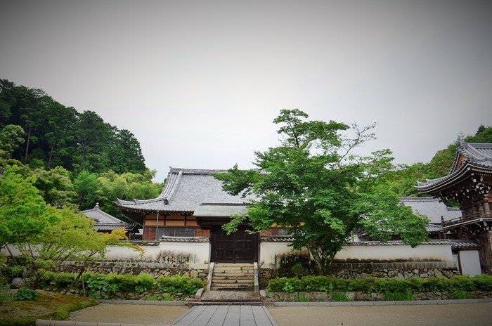 ”雨の雪舟庭～常栄寺”_d0153941_19271854.jpg