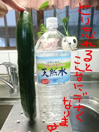 f0128146_14222317.jpg