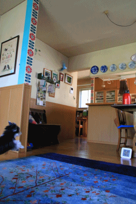 c0145250_10533304.gif
