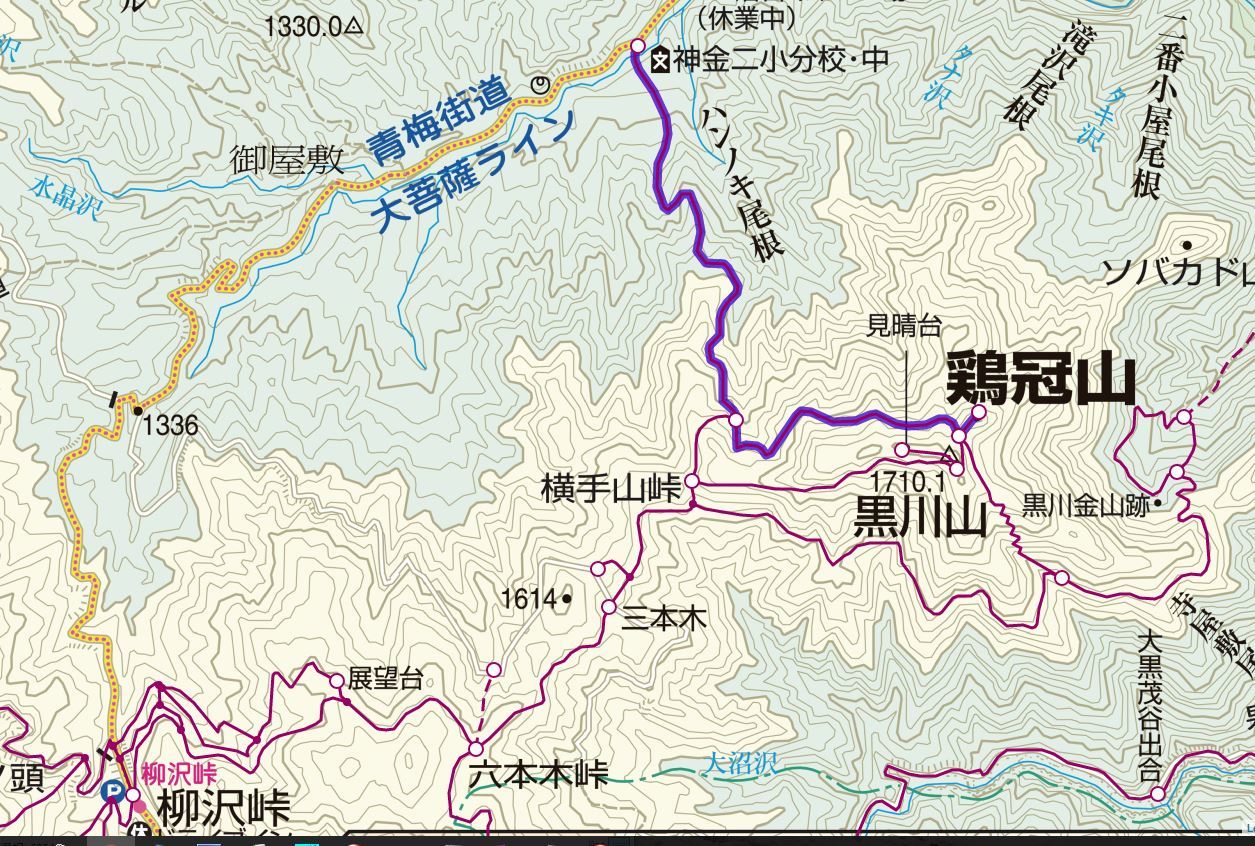 武田家支えた黒川金山＠黒川鶏冠山　2016.05.25(水)_f0344554_09412005.jpg