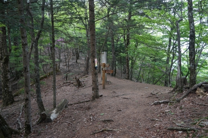 武田家支えた黒川金山＠黒川鶏冠山　2016.05.25(水)_f0344554_09433310.jpg