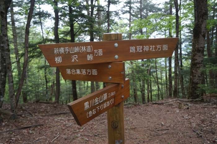 武田家支えた黒川金山＠黒川鶏冠山　2016.05.25(水)_f0344554_09440474.jpg