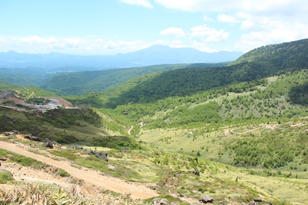 a0208560_1426627.jpg
