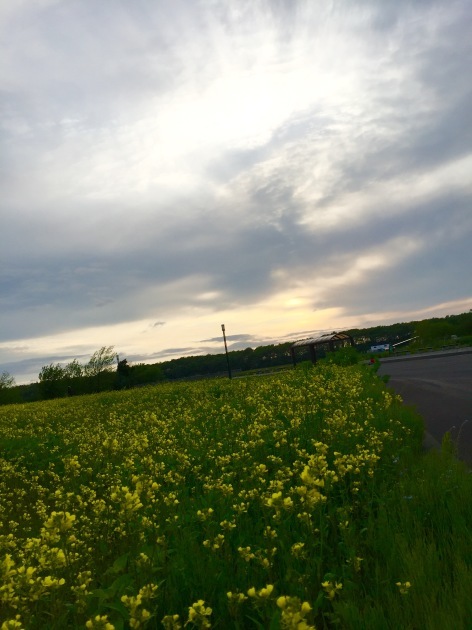 a0337860_23265360.jpeg