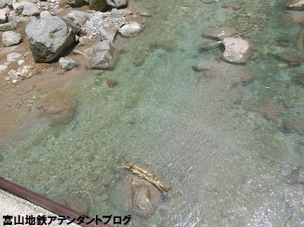一度は、見ておきたい絶景★称名滝_a0243562_16001497.jpg