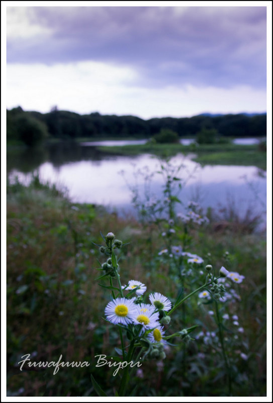 昆陽池公園＊＊_d0344864_21164662.jpg