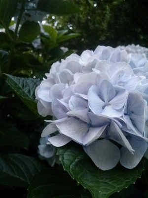 暮らしと心のととのえかた_d0240469_6572642.jpg