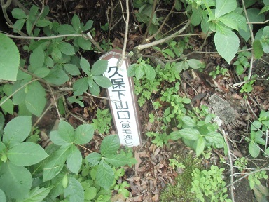 c0273271_1256846.jpg
