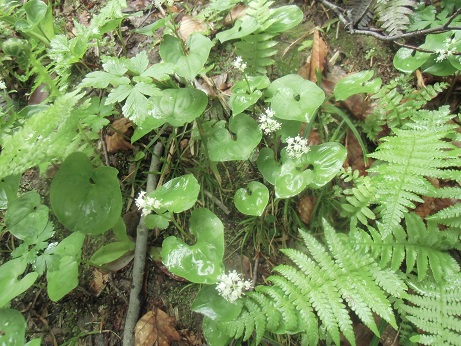 c0273271_131257.jpg