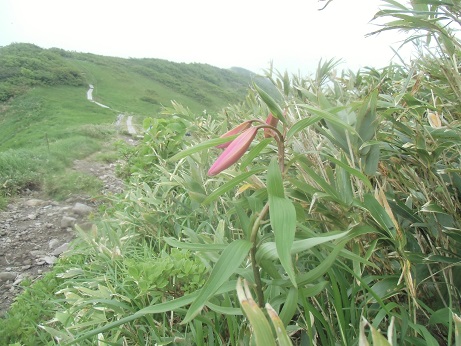 c0273271_13155755.jpg