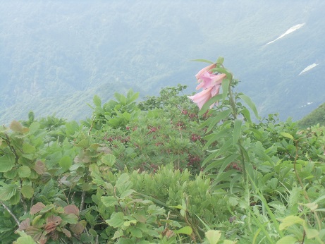 奥只見の蒲生岳・浅草岳を歩いてきた_c0273271_13195567.jpg