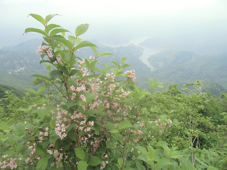 c0273271_1324554.jpg
