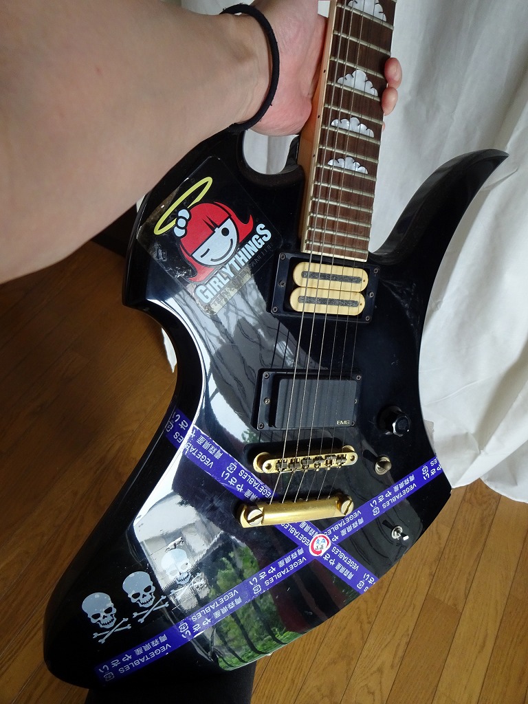 DiMarzio DP100 Super Distortion Bridge/Neck Humbucker Pickup