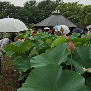 千葉のいろいろを堪能!_a0191183_18125233.jpg